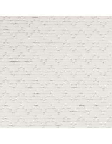CP SCHIENALI SLIM-STRIP