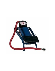 POMPA GONFIATUTTO A 1 CILINDRO 24055 BOTTARI