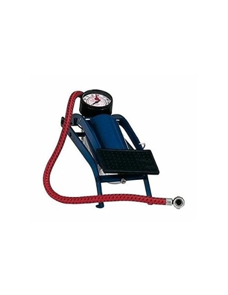 POMPA GONFIATUTTO A 1 CILINDRO 24055 BOTTARI