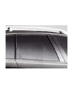 SCENDENTE POSTERIORE DX FUME'A/159 SW 05 in poi