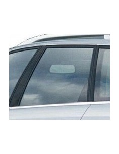 SCENDENTE POSTERIORE SX AZZ.A4 AVANTERIORE 01-08