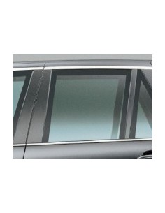 SCENDENTE POSTERIORE SX AZZ.BMW X5 00-07