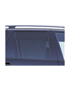 SCENDENTE POSTERIORE DX FUME'BMW X5 00-07