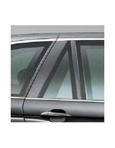 FISSO PORTA POSTERIORE DX AZZ.BMW X5 00-07