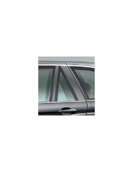 FISSO PORTA POSTERIORE SX AZZ.BMW X5 00-07