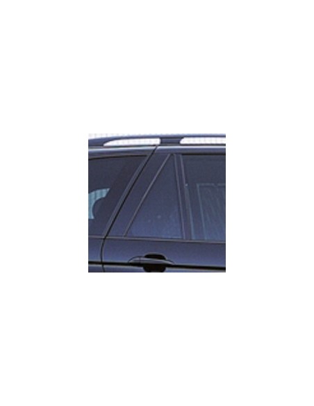 FISSO PORTA POSTERIORE DX FUME'BMW X5 00-07