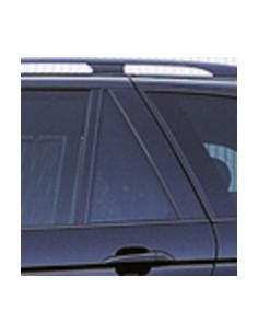 FISSO PORTA POSTERIORE SX FUME'BMW X5 00-07