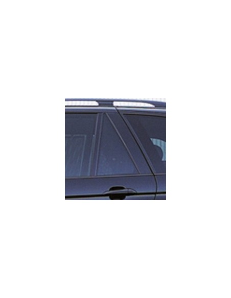 FISSO PORTA POSTERIORE SX FUME'BMW X5 00-07