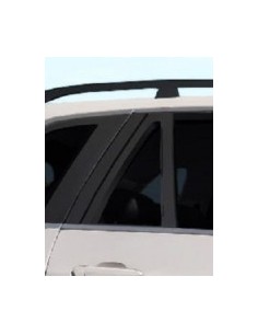 FISSO PORTA POSTERIORE DX FUME'BMW X5 07 in poi