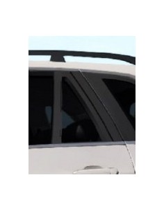 FISSO PORTA POSTERIORE SX FUME'BMW X5 07 in poi