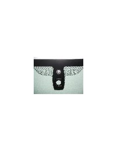 PARABREZZA COAT+SENSORE BMW S5 F10 10 in poi