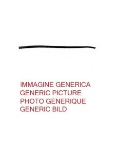 GUARNIZIONE PARABREZZA SUPERIORE BMW S3 F30 2012 in poi