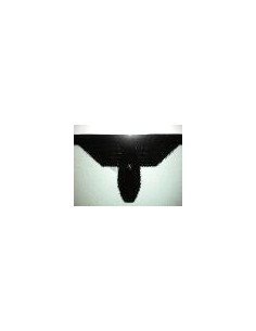 P.ZZA INC VR ACU.FORD KUGA 2017 in poi