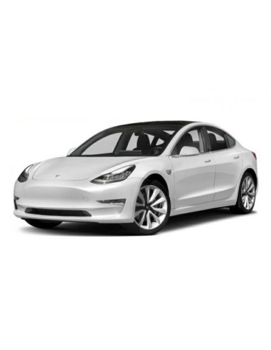 RINF P-TI POST TESLA MODEL 3 01-17 in poi