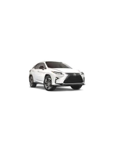 MODAN P-TI P-DX CROM LEXUS RX 01-18 in poi