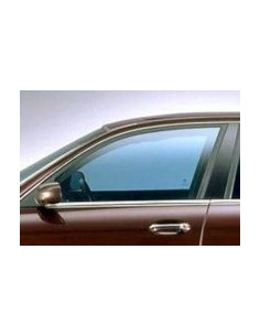 SCENDENTE ANTERIORE SX LANCIA THESIS