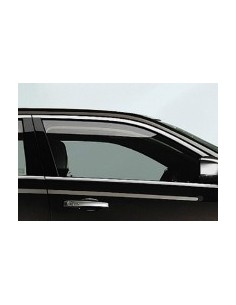 SCENDENTE ANTERIORE/DX ACCOP.VR THEMA 2012 in poi