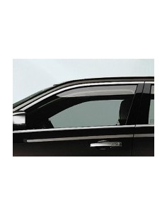 SCENDENTE ANTERIORE/SX ACCOP.VR THEMA 2012 in poi