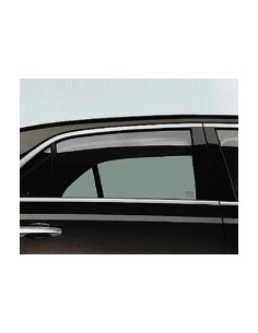 SCENDENTE POSTERIORE DX VR THEMA 2012 in poi