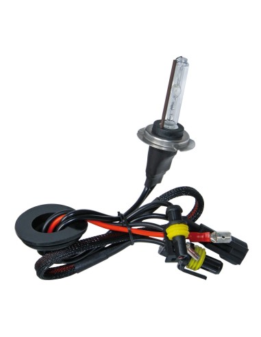12/24V Lampadina HID Xenon 6.000K - H7 - 1 pz  - Scatola