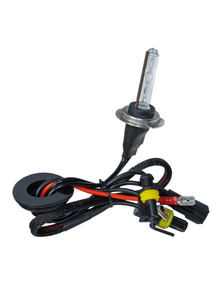 12/24V Lampadina HID Xenon 6.000K - H7 - 1 pz  - Scatola