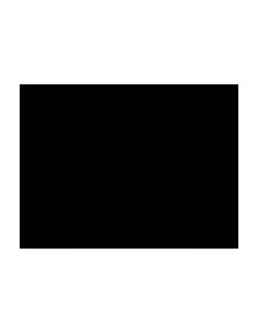 DEFLETTORI VOYAGER 2011 in poi