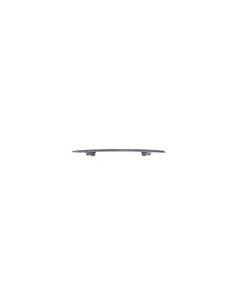 RINF P-TI ANT BYD ATTO 3 01-23 in poi