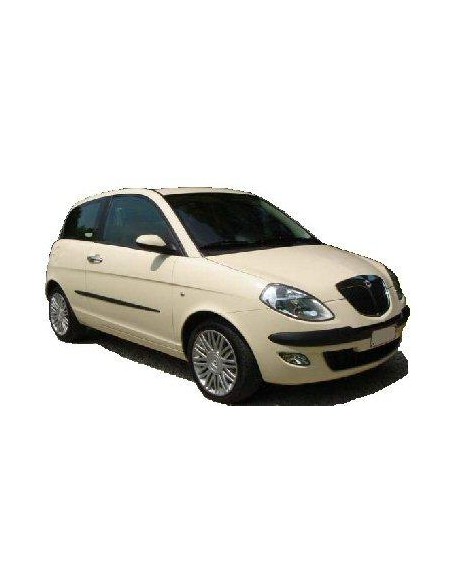 RETROVISORE DX ELETTRICO PRIM.YPSILON 03-09