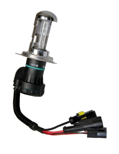 12/24V Lampadina HID Xenon (Bi-Xenon) 6.000K - H4 - 1 pz  - Scatola