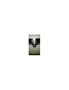 P.ZZA VR+SEN+CAMERA S5 G30 2020