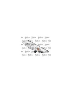 FARO DX NISSAN JUKE 01-10 in poi