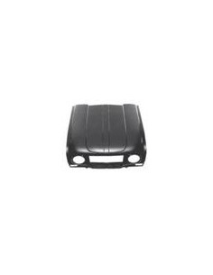 COFANO ANTERIORE RENAULT 4