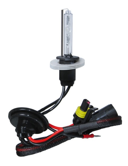12/24V Lampadina HID Xenon 6.000K - H1 - 1 pz  - Scatola