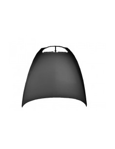 COFANO ANT LANCIA THESIS