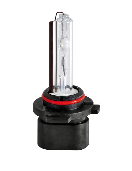 LAMPADINA XENON H10 6500K