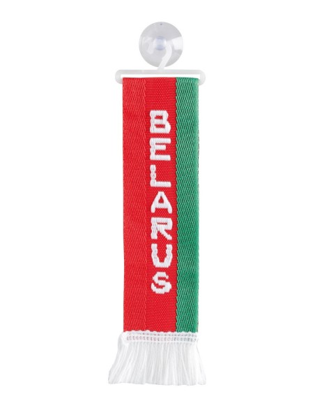 DECORAZIONE CABINA BIELORUS SIA