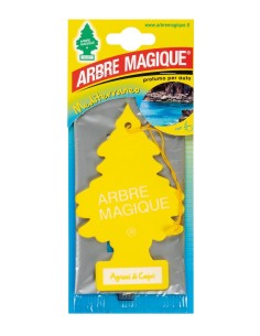 ARBRE MAGIQUE AGRUMI CAPRI