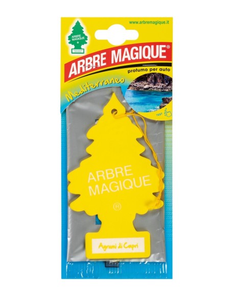 ARBRE MAGIQUE AGRUMI CAPRI