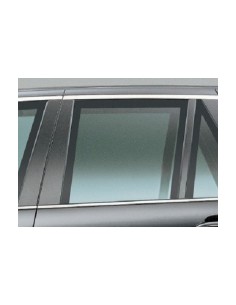 SCENDENTE POSTERIORE SX AZZ.BMW X5 00-07