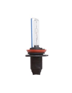 LAMPADINA HID H8 (FASCIO SINGOLO) / H8 HID BULB (S