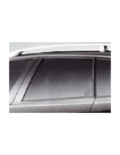 SCENDENTE POSTERIORE SX FUME'A/159 SW 05 in poi