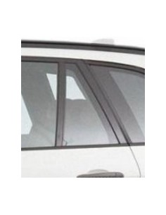 FISSO PORTA POSTERIORE SX AZZ.BMW X5 E70 03/0