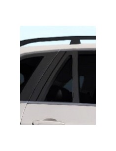 FISSO PORTA POSTERIORE DX FUME'BMW X5 07 in poi