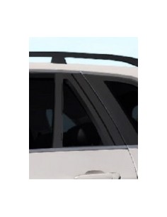 FISSO PORTA POSTERIORE SX FUME'BMW X5 07 in poi