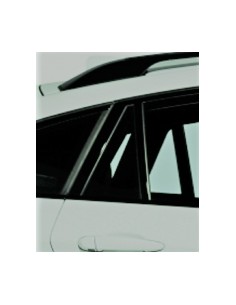 FISSO PORTA POSTERIORE DX AZZ.BMW X6 08 in poi