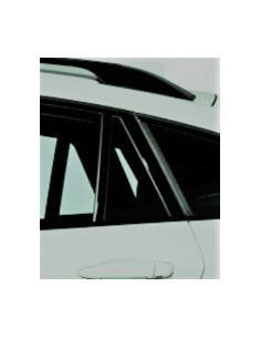 FISSO PORTA POSTERIORE SX AZZ.BMW X6 08 in poi