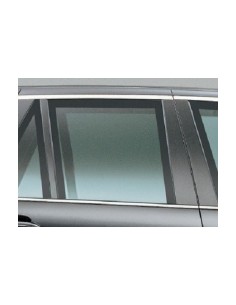 SCENDENTE POSTERIORE DX AZZ.BMW X5 00-07