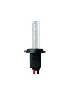 LAMPADINA SINGOLA HID H7 6000K