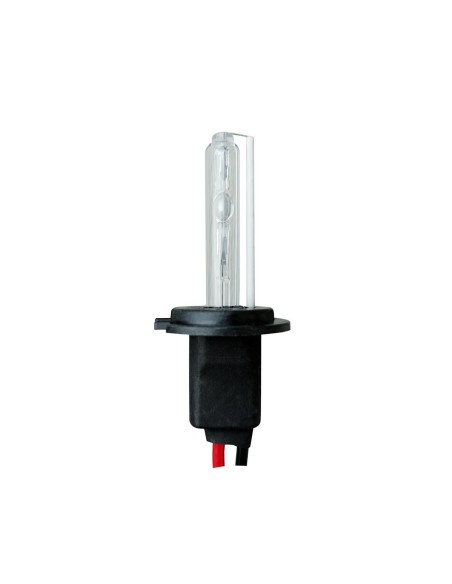 LAMPADINA SINGOLA HID H7 6000K