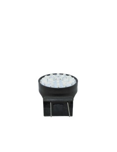 SR.LAMPADINA T20 A 8 LED BIANCHI